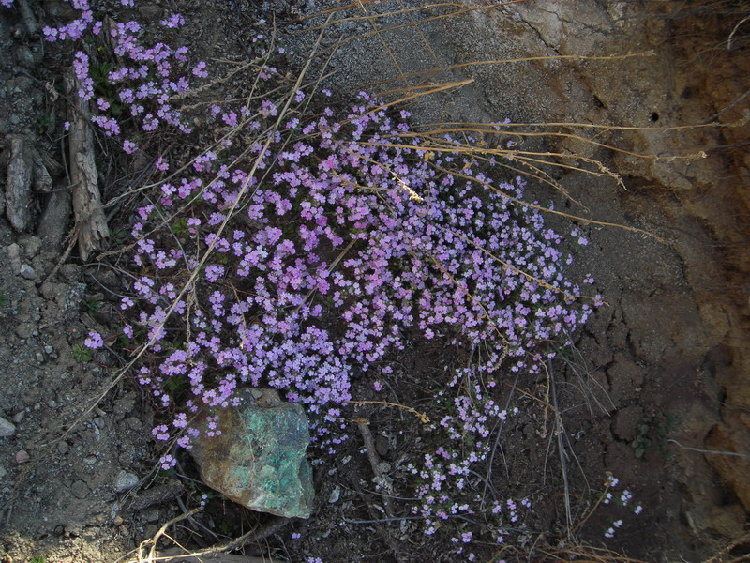 DSCN1033.JPG