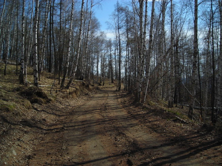 DSCN1037.JPG