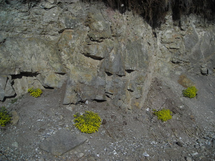 DSCN1050.JPG