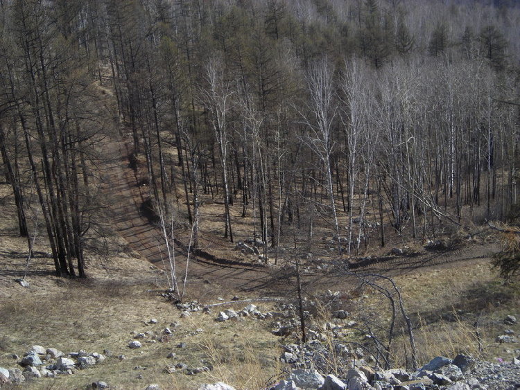 DSCN1114.JPG