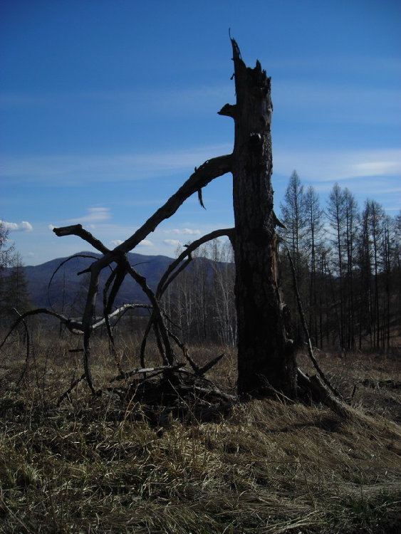 DSCN10041.jpg
