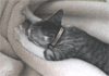 avatar_0438.gif