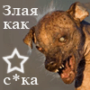 27.gif