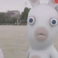 ginf_2007_05_18.gif