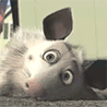ginf_2007_05_14.gif