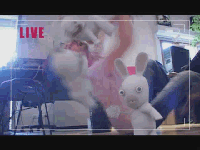 gifs03200705[1].gif
