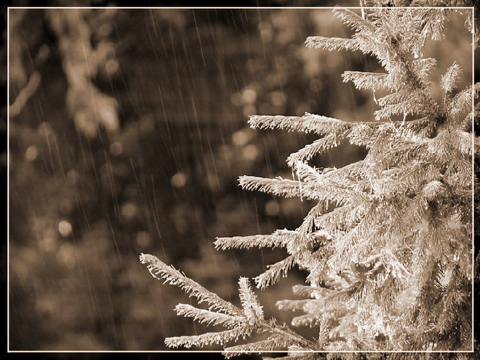 foto_sepia.jpg