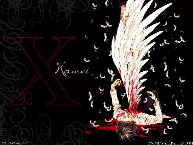 x_13_1024.jpg