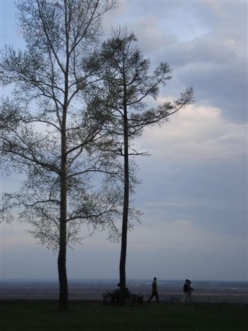 DSC08863.JPG