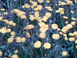 Image021.jpg
