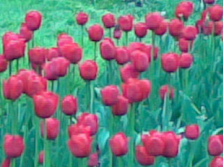 Image014.jpg