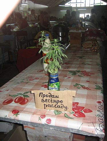 588.jpg