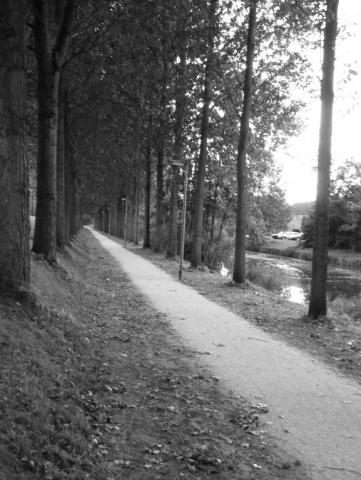 med_gallery_390_3_616526.jpg