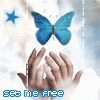 w_362.gif