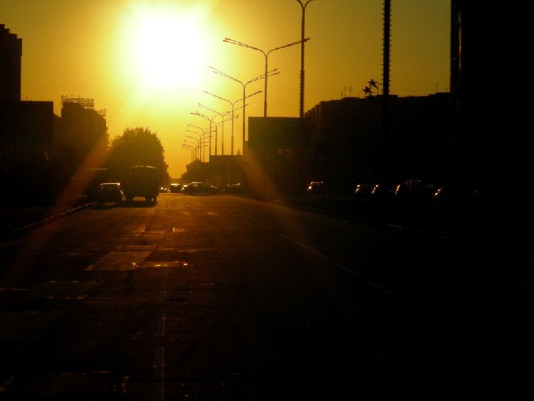 DSCN0964.jpg