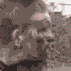 1 (141).gif