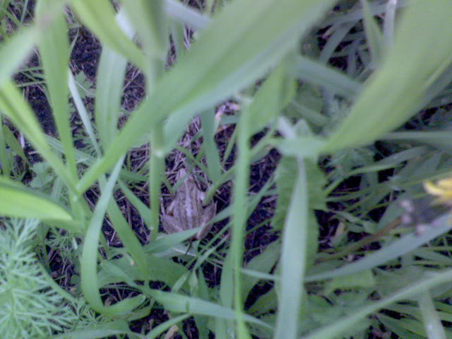DSC00171.JPG