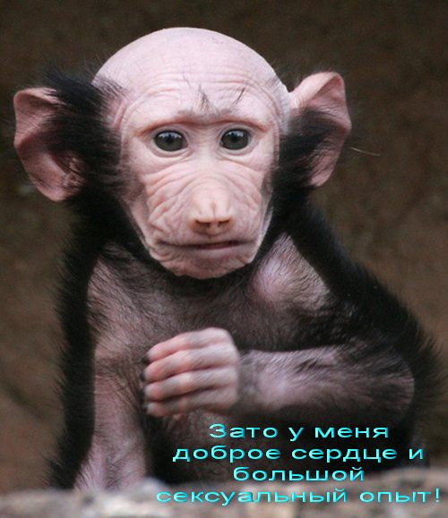 14161240_PORTRET1.jpg