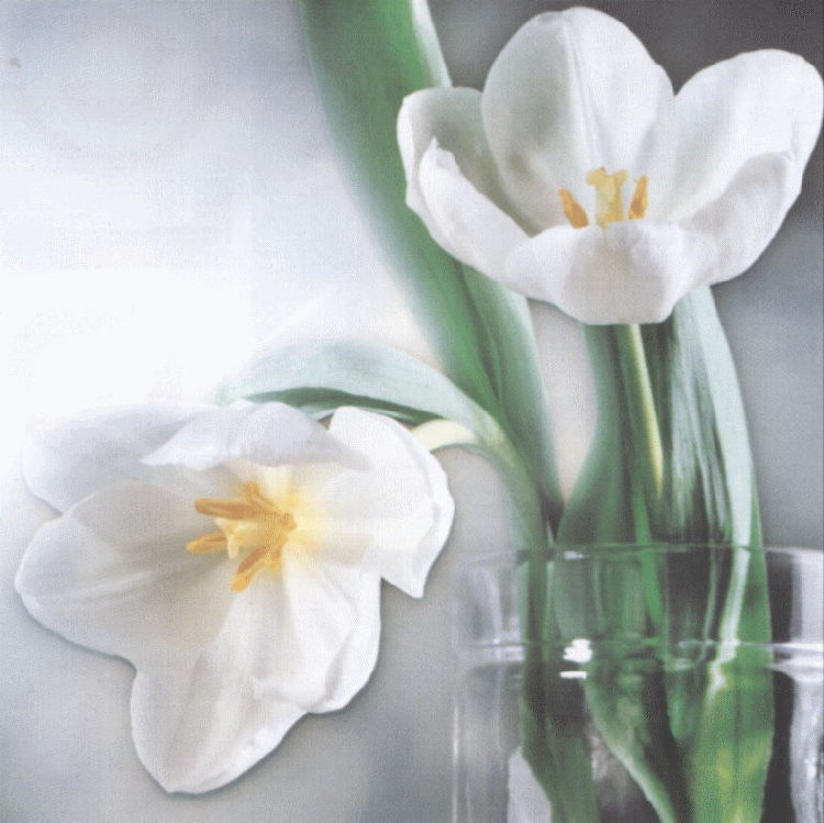 FLOWER09.JPG