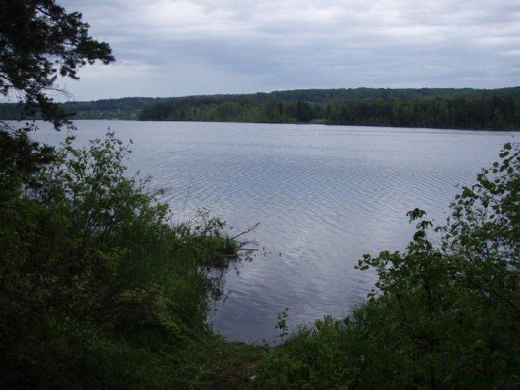 p6171599_690.jpg