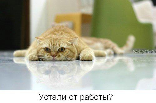 bodryak_work_1.jpg