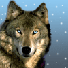 w_145.gif