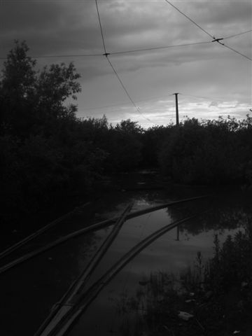 DSC01791.JPG