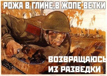 1183479678_56486031.jpg