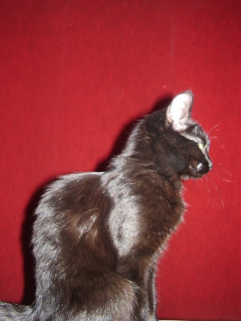P3100074.JPG