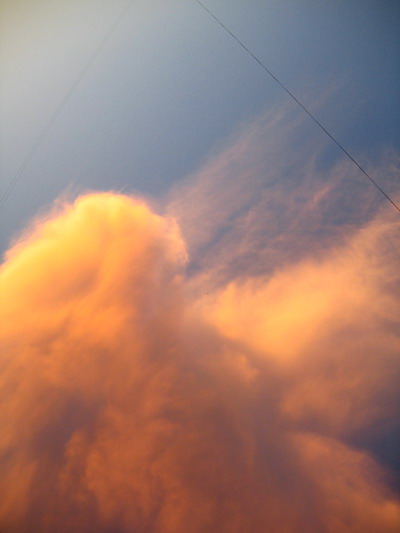 IMG_217566.jpg