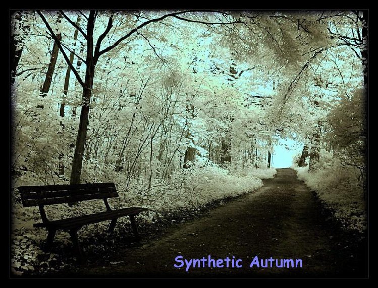 synthetic autumn_.JPG